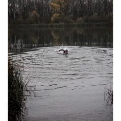 Orca Athlex Flow Wetsuit - Silver Total -Aqua Verkoop orca athlex flow wetsuit silver total 32 1479531